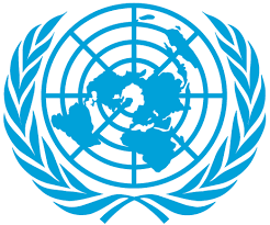 Senior Advisor, Impact Management at UNOPS | Global Roles